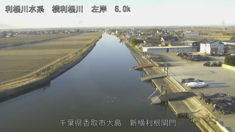 yoko2026012808_image