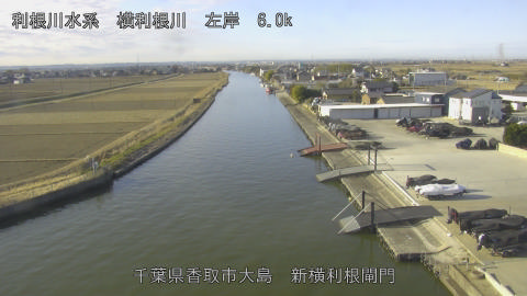 yoko2026012809_image