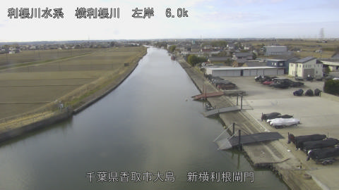 yoko2026012810_image