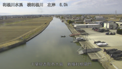 yoko2026012811_image