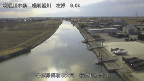 yoko2026012814_image