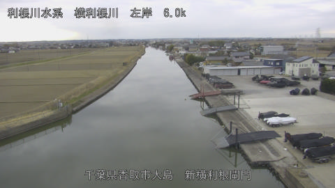 yoko2026012816_image