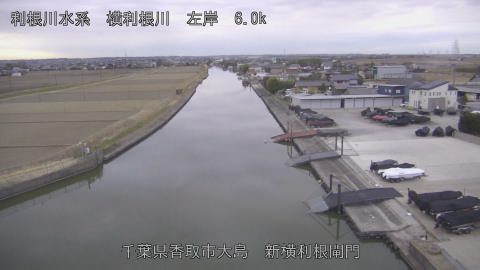 yoko2026012817_image