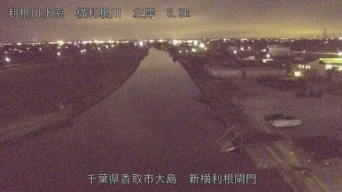 yoko2026012818_image