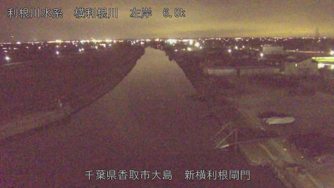 yoko2026012819_image