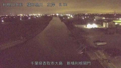 yoko2026012820_image