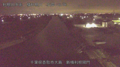 yoko2026012823_image