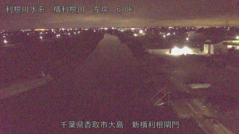 yoko2026012901_image