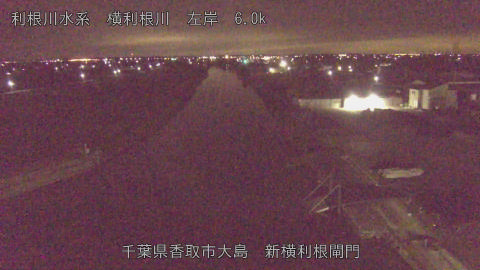 yoko2026012902_image