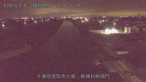 yoko2026012903_image