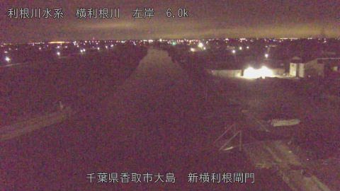 yoko2026012904_image