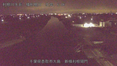 yoko2026012905_image