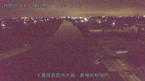 yoko2026012906_image