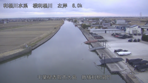 yoko2026012907_image