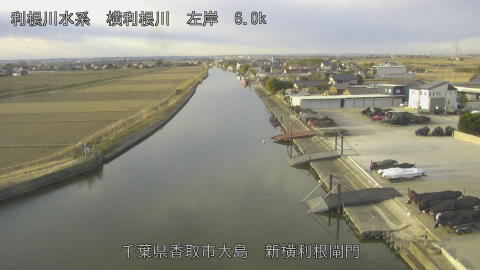 yoko2026012908_image