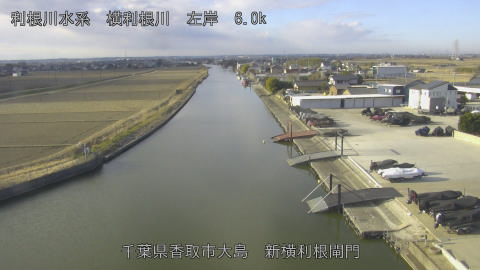 yoko2026012909_image