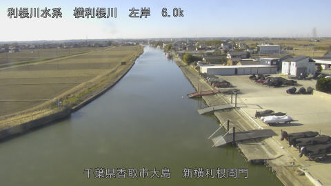 yoko2026012910_image