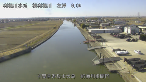 yoko2026012911_image