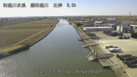 yoko2026012912_image