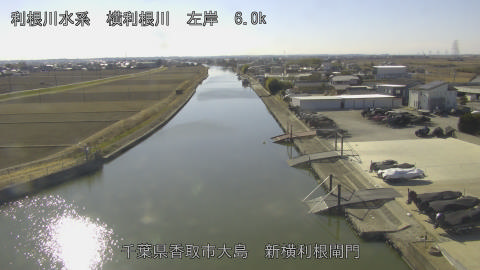 yoko2026012913_image