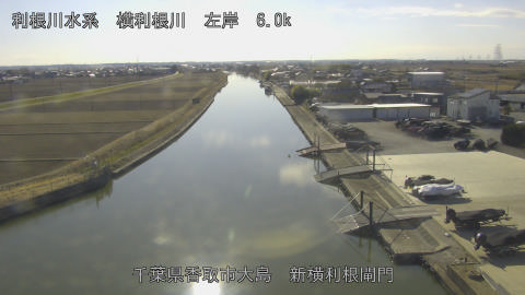 yoko2026012914_image