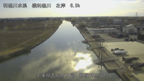 yoko2026012915_image