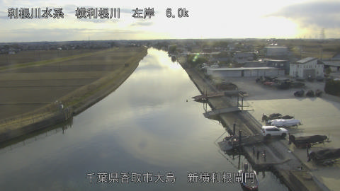 yoko2026012916_image