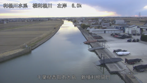 yoko2026012917_image