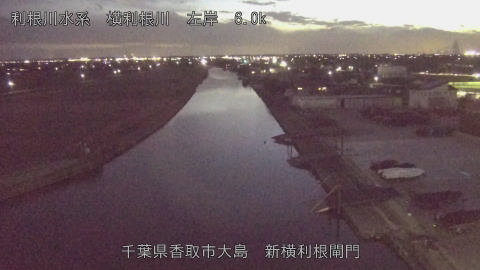 yoko2026012918_image