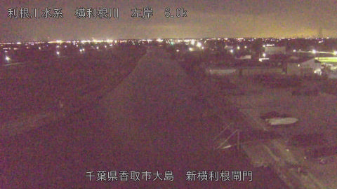 yoko2026012919_image