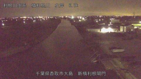 yoko2026012921_image