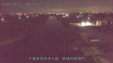 yoko2026013002_image