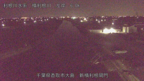 yoko2026013004_image