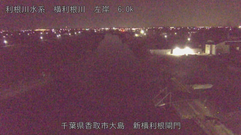 yoko2026013005_image