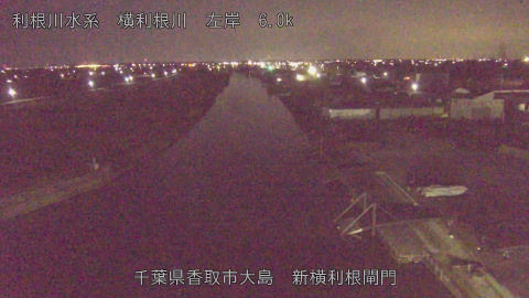 yoko2026013006_image