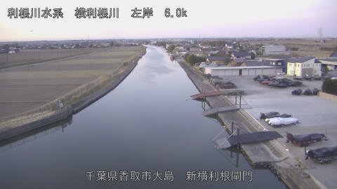 yoko2026013007_image