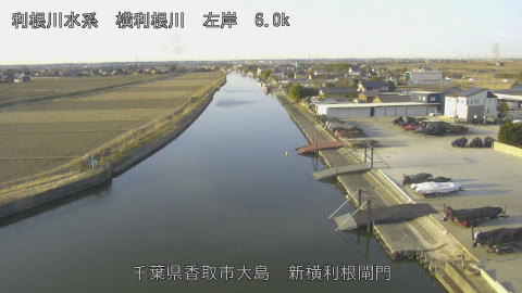 yoko2026013008_image