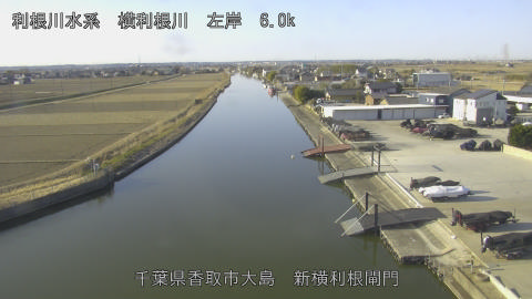 yoko2026013009_image