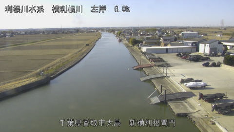 yoko2026013010_image