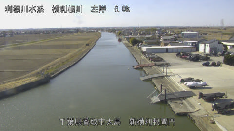 yoko2026013011_image