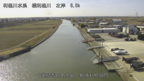 yoko2026013012_image