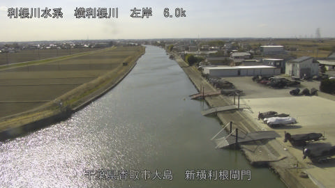 yoko2026013013_image