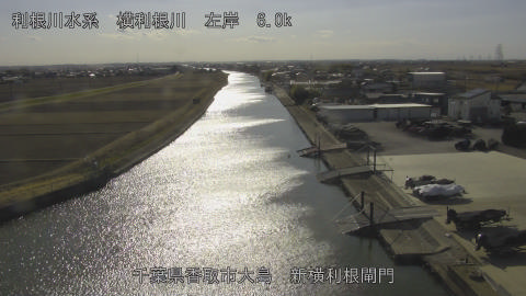 yoko2026013014_image