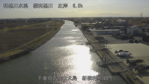 yoko2026013015_image