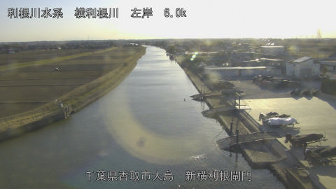 yoko2026013016_image