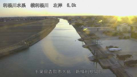 yoko2026013017_image