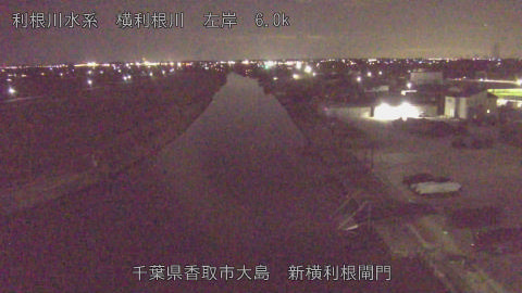 yoko2026013021_image