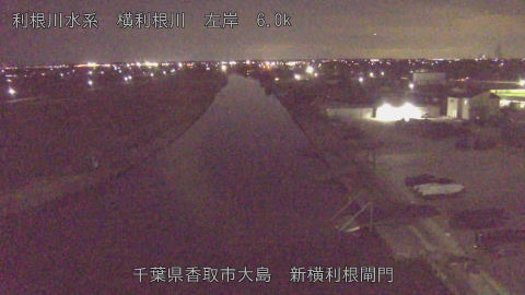 yoko2026013022_image