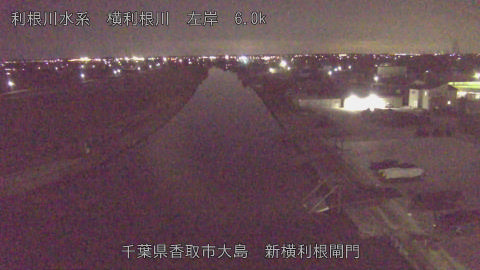 yoko2026013023_image