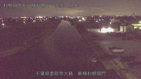 yoko2026013100_image